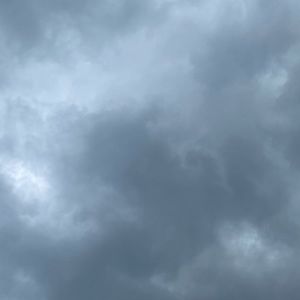 Meet your Posher, Sandy